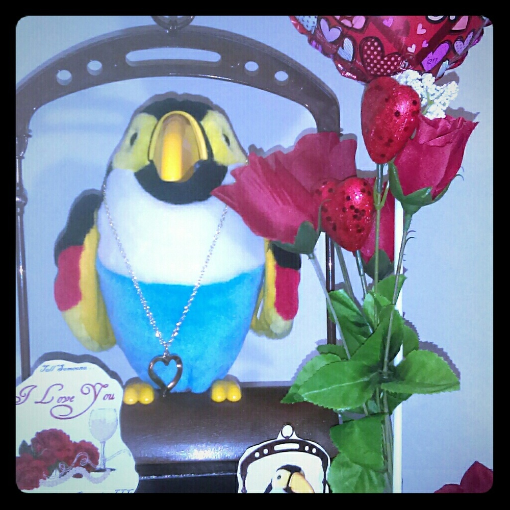 Talking Toucan for Valentine's Day!